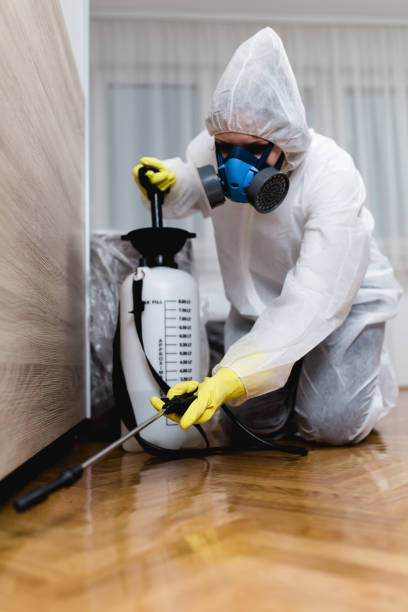 Best Pest Exclusion Services  in Pine Island, TX